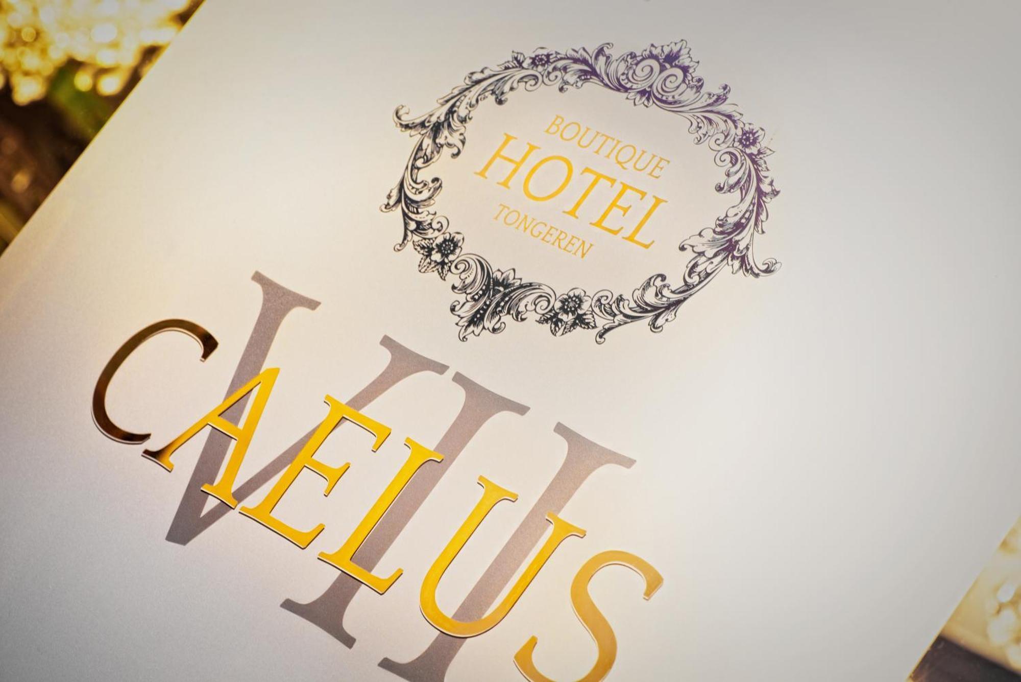 Boutique Hotel Caelus VII Tongeren Dış mekan fotoğraf